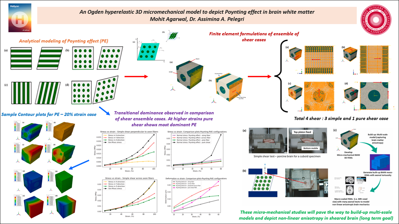 An Ogden hyperelastic 3D micromechanical model to depict Poynting effect in brain white matter HD1